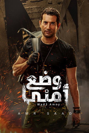 وضع أمني poszter