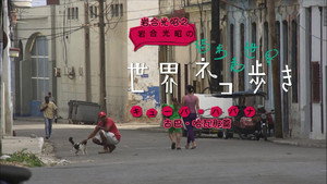 岩合光昭の世界ネコ歩き 1. évad Ep.4 4. epizód