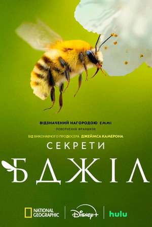 A méhek titkai poszter