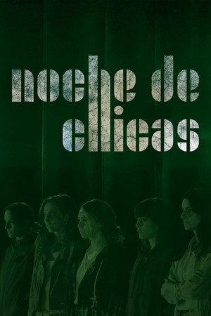 Noche de chicas poszter