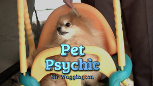 The Pet Psychic 1. évad Ep.8 8. epizód