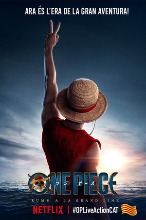 ONE PIECE poszter