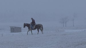 Heartland 6. évad Ep.18 18. epizód