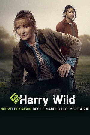 Harry Wild poszter