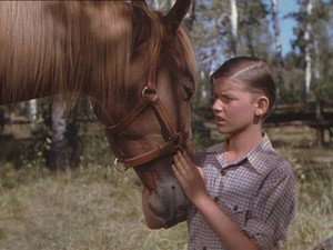 My Friend Flicka 1. évad Ep.25 25. epizód