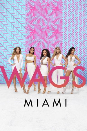 WAGS Miami 2. évad (2017-08-20) poszter