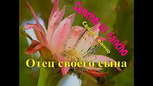 Санчо с ранчо 1. évad Ep.6 6. epizód
