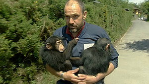 Monkey Business 4. évad Ep.7 7. epizód