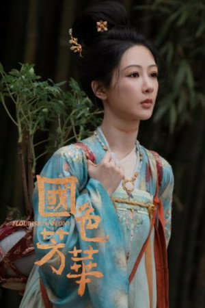 国色芳华 poszter