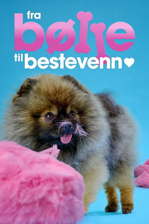 Fra bølle til bestevenn 4. évad (2024-08-09) poszter