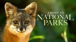 Amerika nemzeti parkjai kép