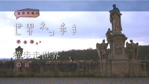 岩合光昭の世界ネコ歩き 1. évad Ep.45 45. epizód