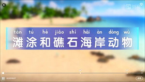 斑马百科 5. évad Ep.2 2. epizód
