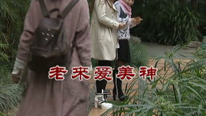 外来媳妇本地郎 7. évad Ep.2914 2914. epizód