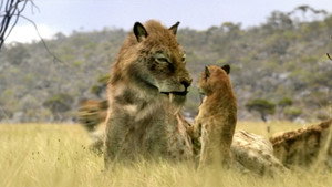 Walking with Beasts kép