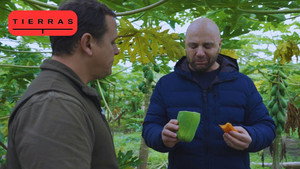 Proyecto Tierras 4. évad Ep.5 5. epizód