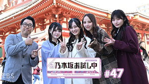 乃木坂お試し中 4. évad Ep.12 12. epizód