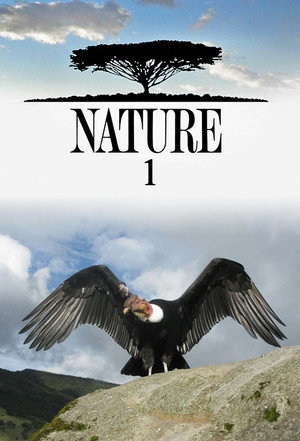 Nature 1. évad (1982-10-10) poszter