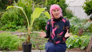 Gardening Australia 36. évad Ep.22 22. epizód