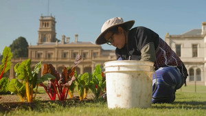 Gardening Australia 35. évad Ep.36 36. epizód