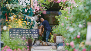 城市风华录 1. évad Ep.7 7. epizód