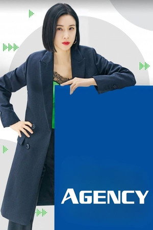 대행사 poszter