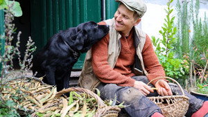 Frank & Kastaniegaarden kép