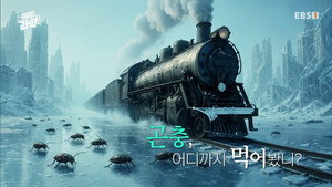 취미는 과학 1. évad Ep.40 40. epizód