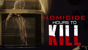 Homicide: Hours to Kill kép