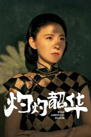 灼灼韶华 poszter