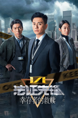 法證先鋒6 倖存者的救贖 poszter