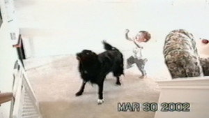 Funniest Pets & People 5. évad Ep.6 6. epizód