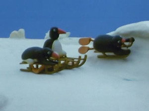 Pingu 1. évad Ep.11 Pingu szánkózik