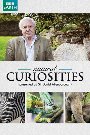 A természet furcsaságai David Attenborough-val poszter