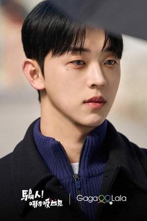 거짓말, 뱀파이어가 어디 있어? poszter