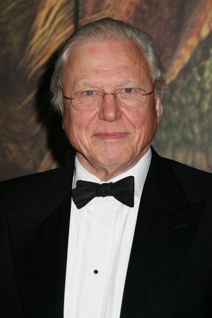 David Attenborough profil kép