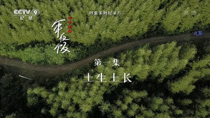 四季流转年夜饭 1. évad Ep.1 1. epizód