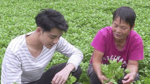 香港原味道 3. évad Ep.10 10. epizód