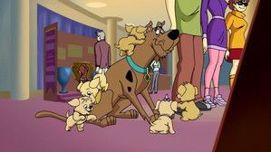 Mizújs, Scooby-Doo? 2. évad Ep.7 Kutyakiállítás