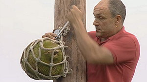 Monkey Business 9. évad Ep.13 13. epizód