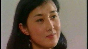 走出盆地 kép