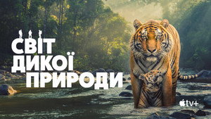The Wild Ones kép
