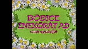 Mirr Murr a kandúr 1. évad Ep.13 Bóbice énekórát ad