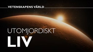 Vetenskapens värld 49. évad Ep.11 11. epizód