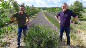 Michel Roux's French Country Cooking 1. évad Ep.6 6. epizód