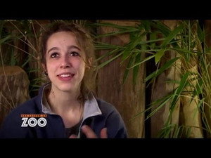 Une saison au zoo 5. évad Ep.24 24. epizód