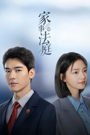 家事法庭 poszter