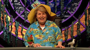 QI 19. évad Ep.13 13. epizód