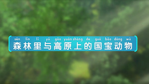 斑马百科MINI百科 3. évad Ep.5 5. epizód
