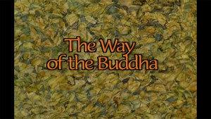 A világ vallásai 1. évad Ep.6 Buddha útja
